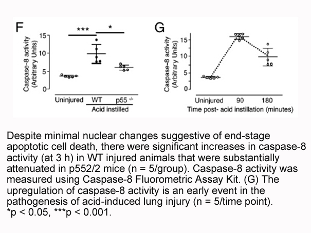 Caspase-8 Fluorometric Assay Kit