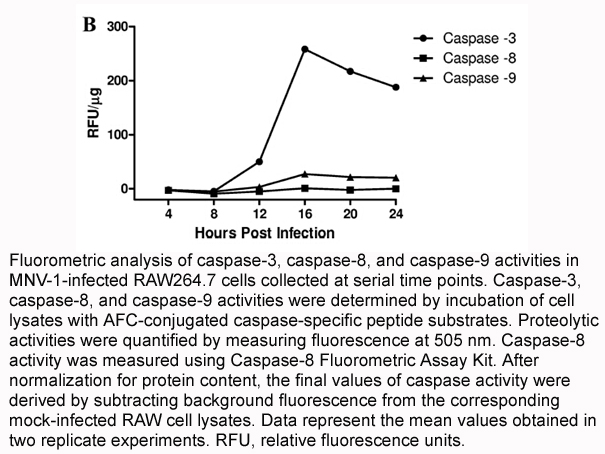 Caspase-8 Fluorometric Assay Kit