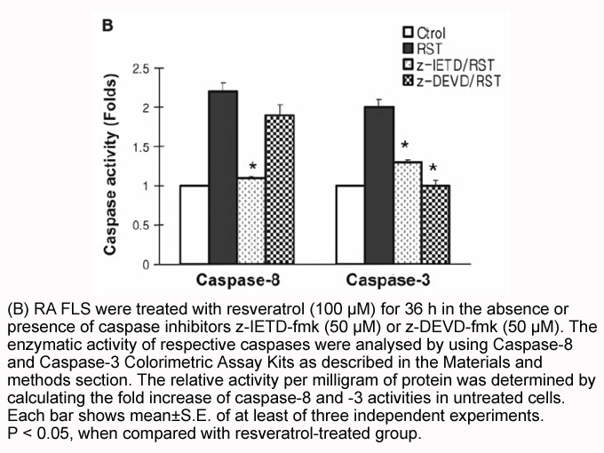 Caspase-8 Colorimetric Assay Kit