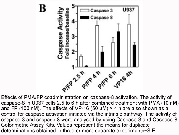 Caspase-8 Colorimetric Assay Kit