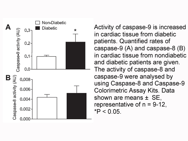 Caspase-8 Colorimetric Assay Kit