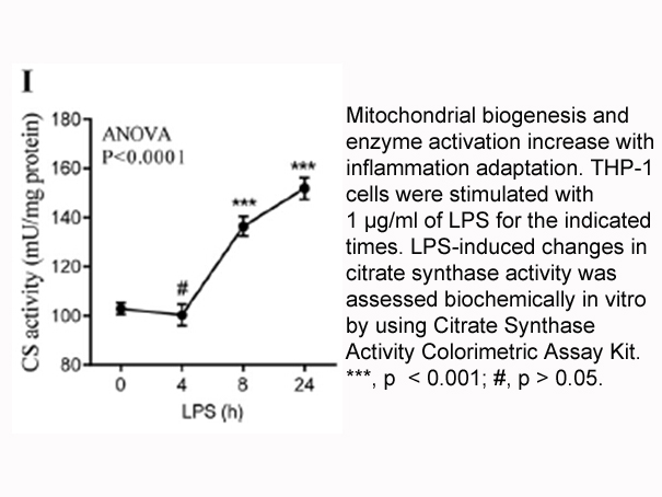Citrate Synthase Activity Colorimetric Assay Kit