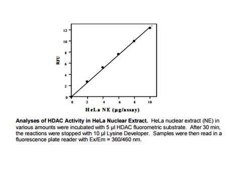 HDAC Activity Fluorometric Assay Kit