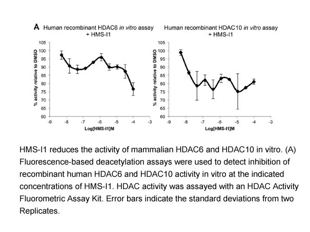 HDAC Activity Fluorometric Assay Kit