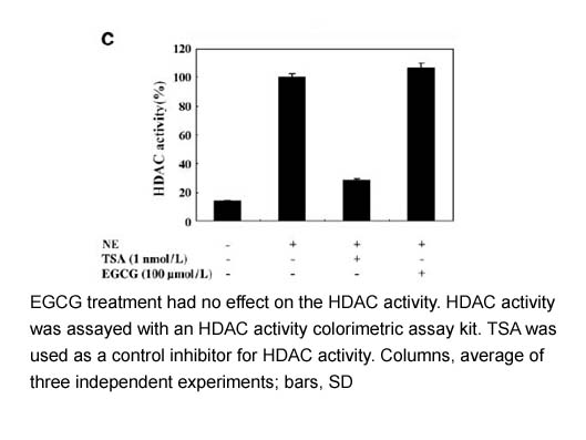 HDAC Activity Colorimetric Assay Kit