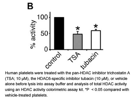 HDAC Activity Colorimetric Assay Kit