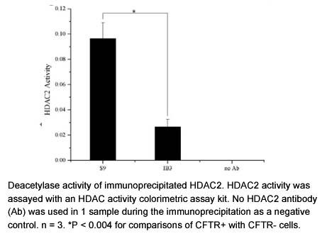 HDAC Activity Colorimetric Assay Kit