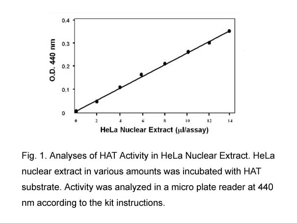 HAT Activity Colorimetric Assay Kit HAT Activity Colorimetric Assay Kit