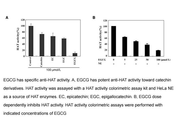 HAT Activity Colorimetric Assay Kit HAT Activity Colorimetric Assay Kit