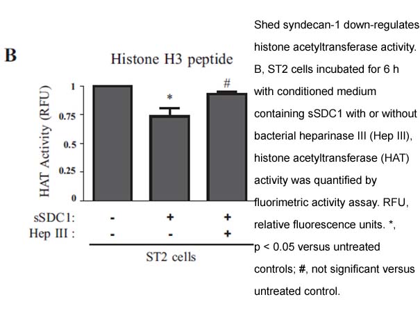 HAT Activity Fluorometric Assay Kit