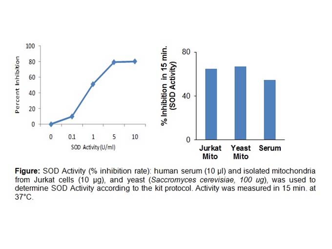 Superoxide Dismutase (SOD) Activity Assay Kit