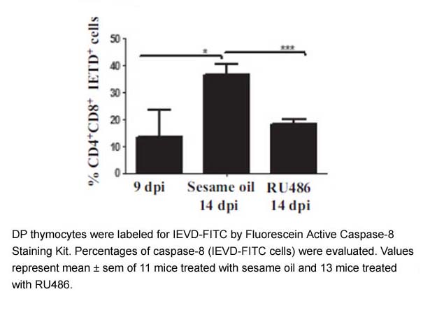 Fluorescein Active Caspase-8 Staining Kit Fluorescein Active Caspase-8 Staining Kit