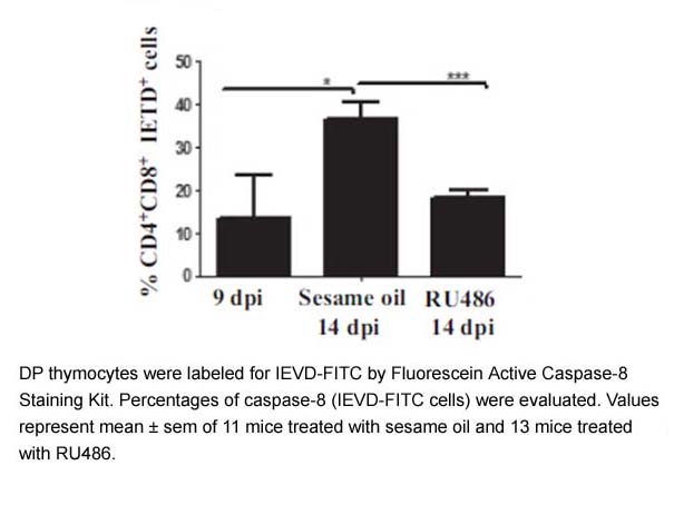 Fluorescein Active Caspase-8 Staining Kit