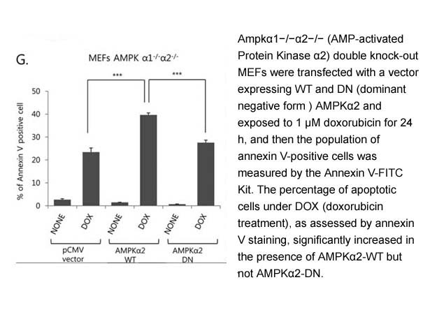 Annexin V-FITC Apoptosis Kit Plus Annexin V-FITC Apoptosis Kit Plus
