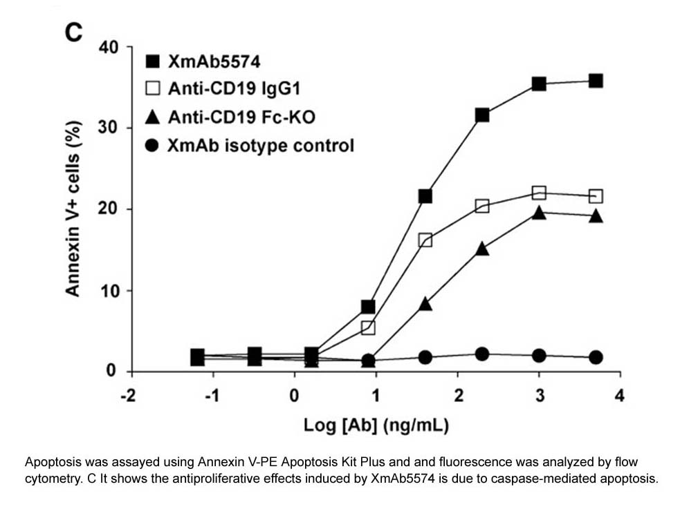 Annexin V-PE Apoptosis Kit Plus