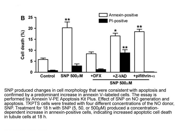 Annexin V-PE Apoptosis Kit Plus