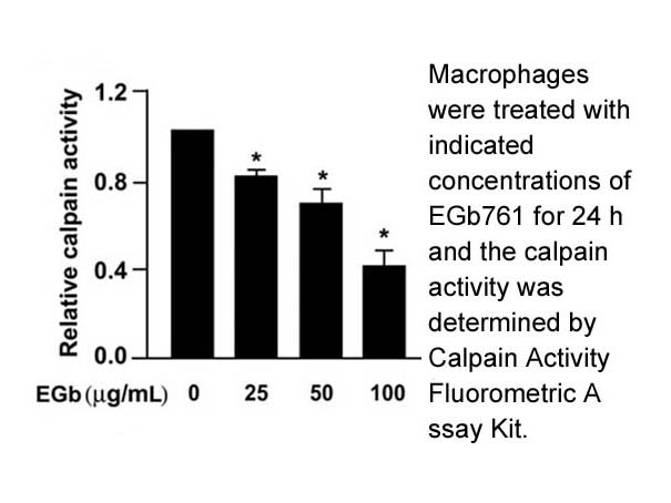 Calpain Activity Fluorometric Assay Kit