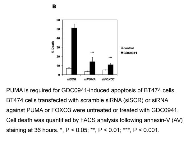 Annexin V, human recombinant