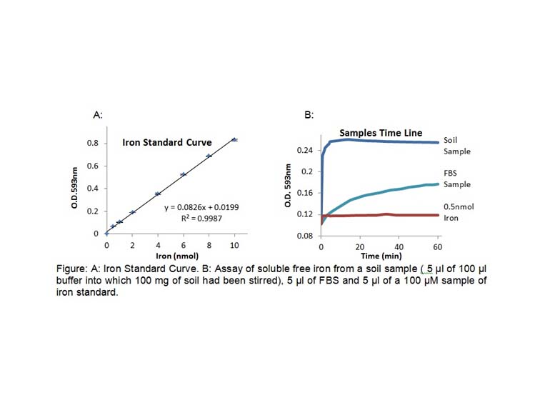 Iron Colorimetric Assay Kit