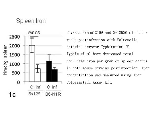 Iron Colorimetric Assay Kit Iron Colorimetric Assay Kit