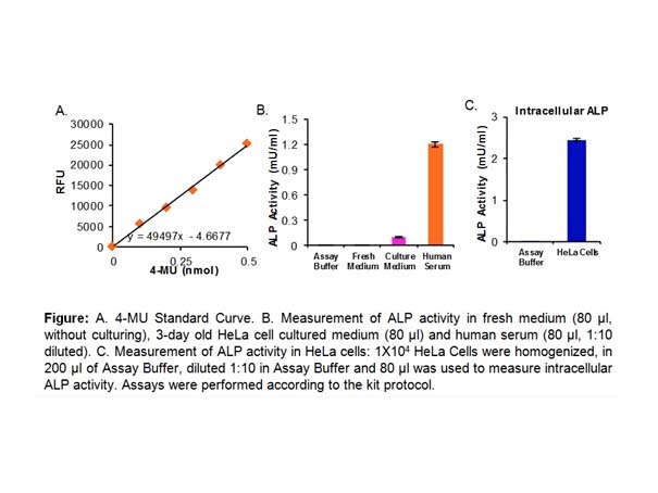 Alkaline Phosphatase Activity Fluorometric Assay Kit Alkaline Phosphatase Activity Fluorometric Assay Kit