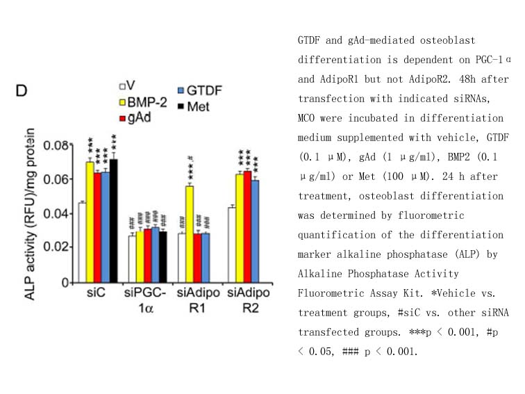 Alkaline Phosphatase Activity Fluorometric Assay Kit Alkaline Phosphatase Activity Fluorometric Assay Kit