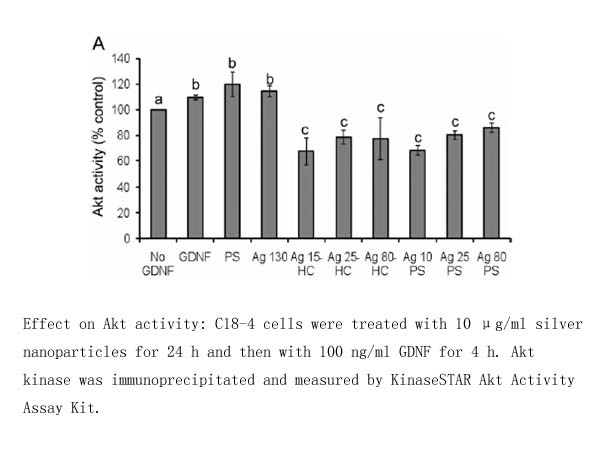 KinaseSTAR Akt Activity Assay Kit KinaseSTAR Akt Activity Assay Kit