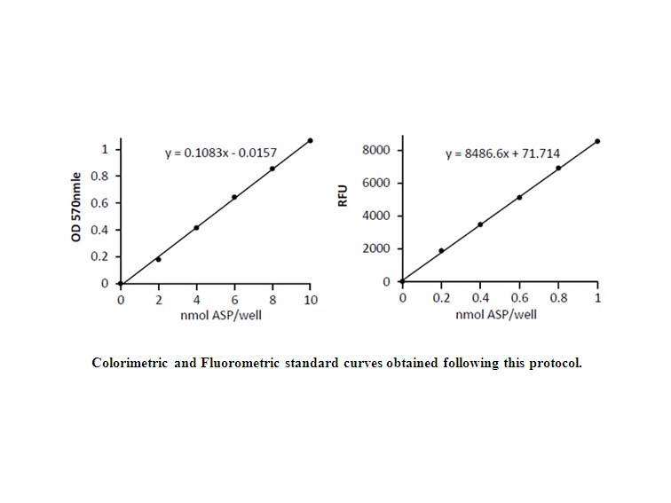 Aspartate Colorimetric/Fluorometric Assay Kit Aspartate Colorimetric/Fluorometric Assay Kit