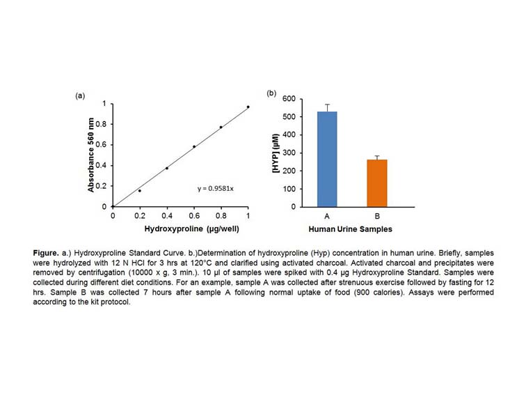 Hydroxyproline Colorimetric Assay Kit