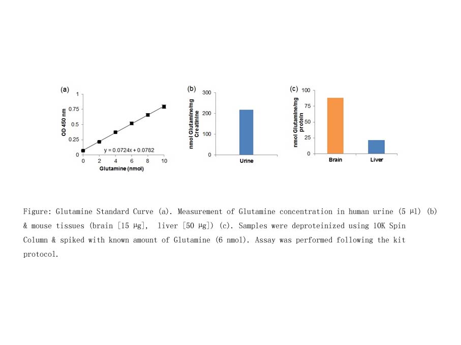 Glutamine Colorimetric Assay Kit Glutamine Colorimetric Assay Kit