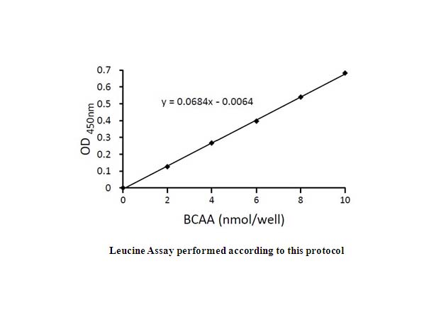Branched Chain Amino Acid (Leu/Ile/Val) Colorimetric Assay Kit Branched Chain Amino Acid (Leu/Ile/Val) Colorimetric Assay Kit
