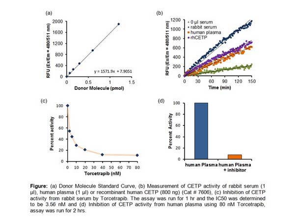 CETP Activity Fluorometric Assay Kit