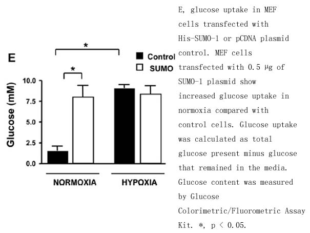 Glucose Colorimetric/Fluorometric Assay Kit