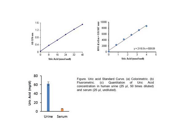 Uric Acid Colorimetric/Fluorometric Assay Kit