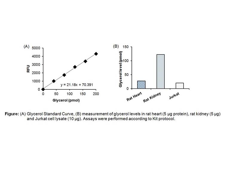 APExBIO PicoProbe™ Free Glycerol Fluorometric Assay Kit Detects
