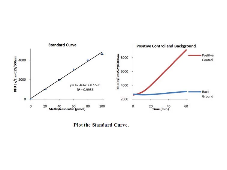 Lipase Activity Fluorometric Assay Kit III