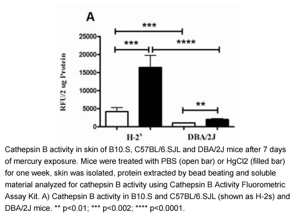 Cathepsin B Activity Fluorometric Assay Kit