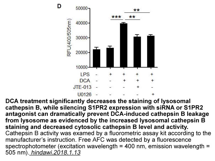 Cathepsin B Activity Fluorometric Assay Kit Cathepsin B Activity Fluorometric Assay Kit