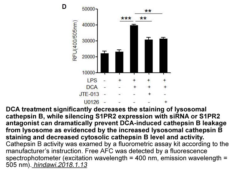 Cathepsin B Activity Fluorometric Assay Kit