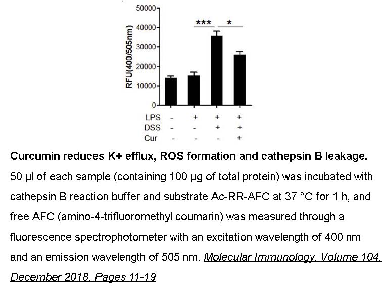 Cathepsin B Activity Fluorometric Assay Kit