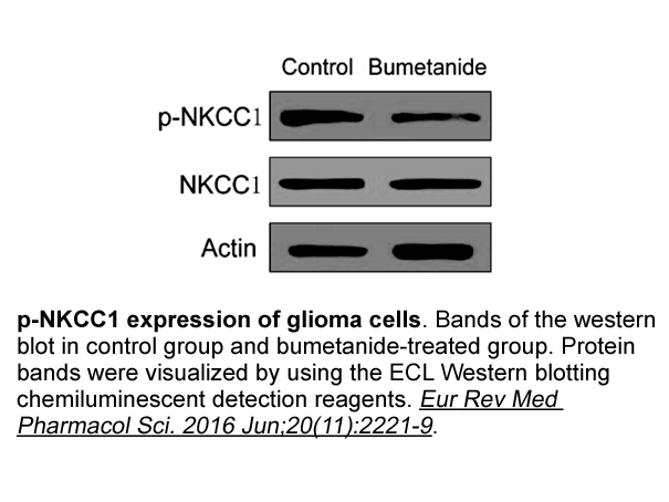 ECL Western Blotting Substrate Kit ECL Western Blotting Substrate Kit