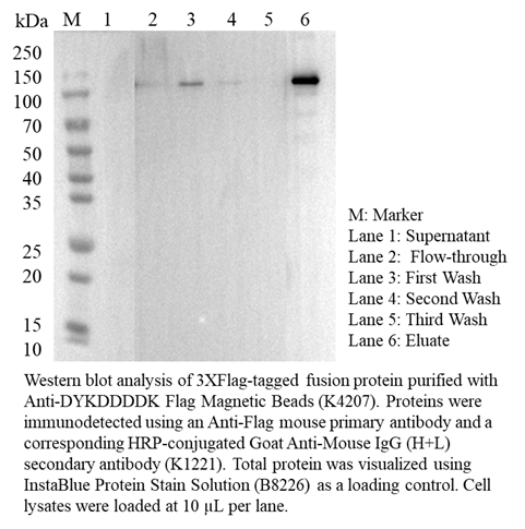 Fluorescein TSA Fluorescence System Kit Fluorescein TSA Fluorescence System Kit