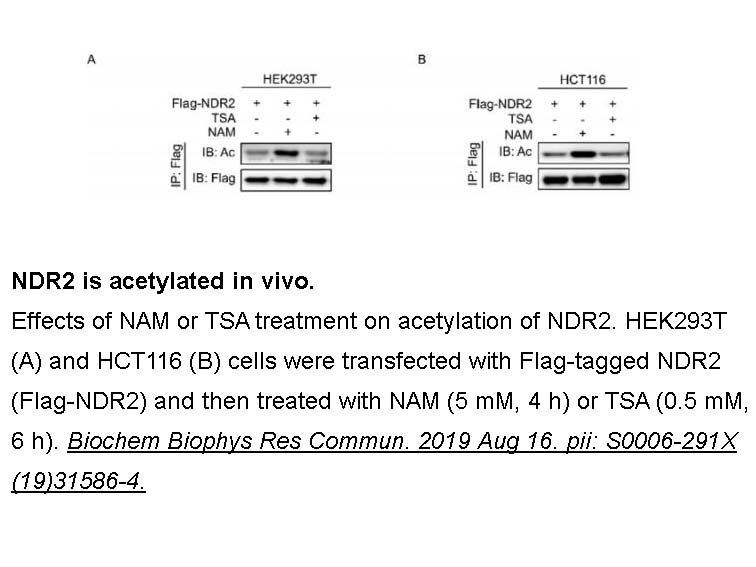 Nicotinamide Nicotinamide