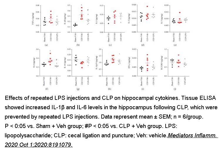 IFN-gamma, murine recombinant IFN-gamma, murine recombinant