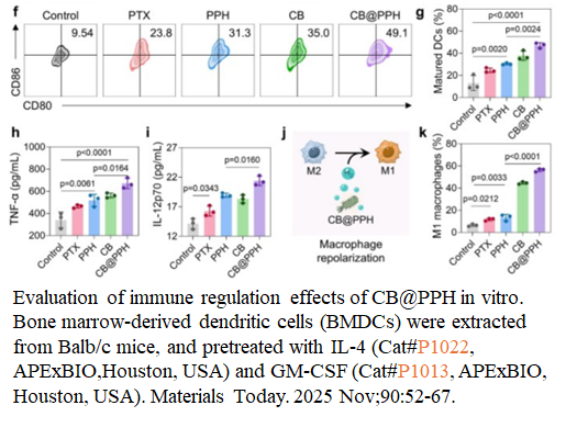 IL-4, murine recombinant