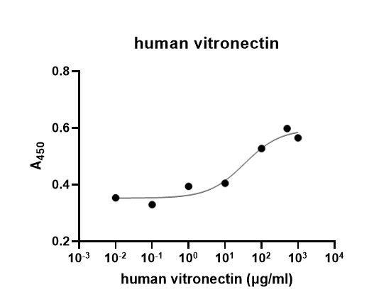 Recombinant Human Vitronectin Protein, Tag Free Recombinant Human Vitronectin Protein, Tag Free