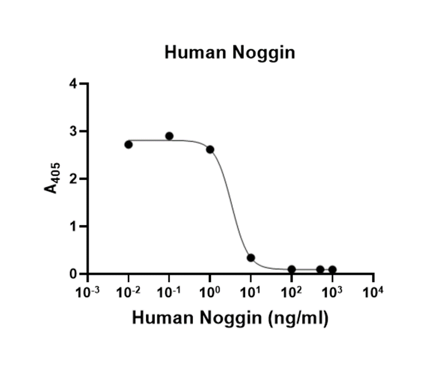 Recombinant Human Noggin (His, Flag) Recombinant Human Noggin (His, Flag)