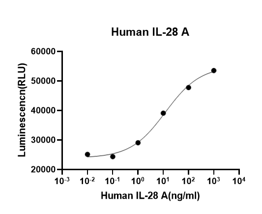 Recombinant Human IL-28A/IFN-lambda 2 (His, Flag) Recombinant Human IL-28A/IFN-lambda 2 (His, Flag)