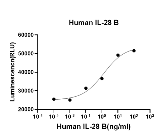 Recombinant Human IL-28B/IFN-lambda 3 (His, Flag) Recombinant Human IL-28B/IFN-lambda 3 (His, Flag)