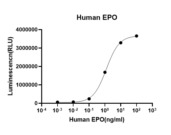 Recombinant Human Erythropoietin/EPO (His, Flag) Recombinant Human Erythropoietin/EPO (His, Flag)